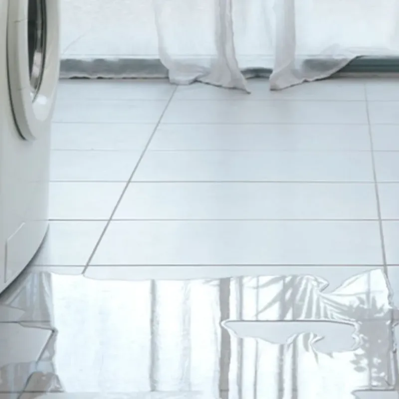 Appliance Leak Cleanup in Oglesby, IL