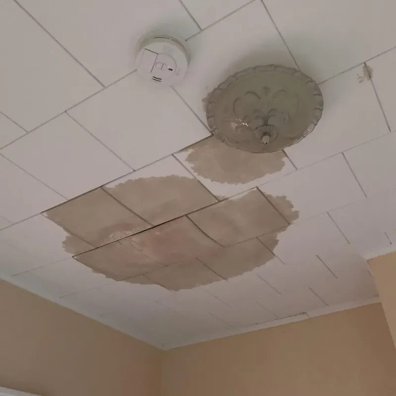 Ceiling Water Damage Repair in Oglesby, IL